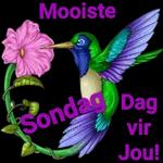nr 988