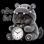 แมวดำ ฮิปโปแคระ