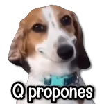 Ven aquí 😚