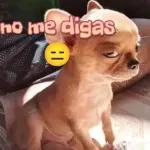 paquete