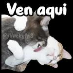 ¡En la madre! 