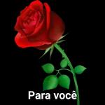 obrigada❤️🌹
