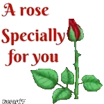 A rose specially for you