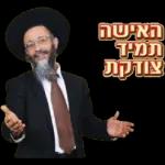 התחלה