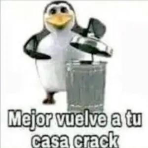 XUNvqM
