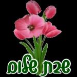 סוכות שמח שבת שלום