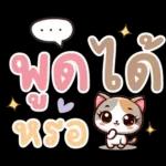 เงินเยอะแล้วครับ