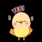 萌宠sticker 02233🥰