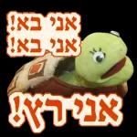 רועי 2