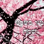 טייך בשבט שמחה