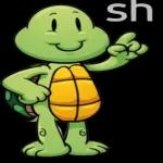 Süße kleine Schildkröte😻