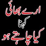urdu