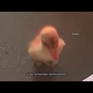 JnTqE9