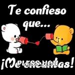 Hoy amanecimos en modo Café con Pan No Molestar Café y Gatitos Café y Gatitos