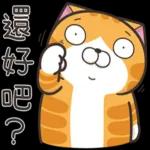 白爛貓☆第１３彈☆ 