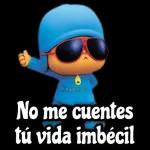 jajaja todo pendejo