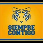 tigres 