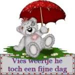 Goedemorgen☀️