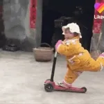 artist