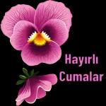 GÜNAYDIN 