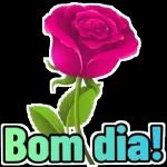 Boa Tarde