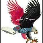 من الذي فاتك؟