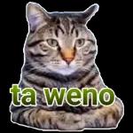 QUE BROMISTA QUE CHISTOSITA