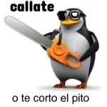 callate o te corto el pito