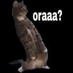 Upss!!! of Vierglas