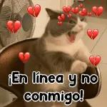 ¡Te amo Mamá!