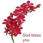 best wish for you