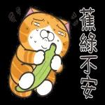 白爛貓51☆腦有動☆