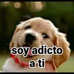 estick