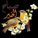 منشاء منشاء