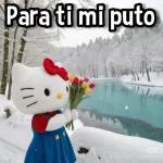 Hello kitty🌸💕🩷