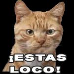 Gracias