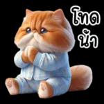 แมวขี้โมโหในชุดนอนสีอ่อน