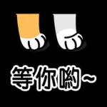 ♡ 貓咪愛你 ♡ 實用日常(含母親節祝福)