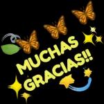 te amo