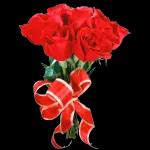 flower🌸 🌹 🌺 