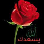 شرح الله صدوركم ورضي عنكم ويسرلكم جميع أموركم