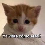 🍔¡Ya se antojó!🍟	Manda esto y te paga una comida