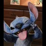 stitch 