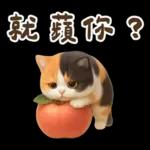 花貓超可愛諧音梗