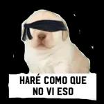 HARÉ COMO QUE NO VI ESO