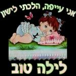 סוכות