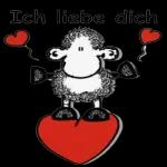 Hab dich lieb