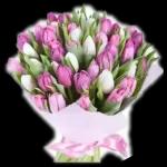 Blumen💕Blumen💕