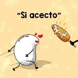 "Si aceto" - getsticker.com