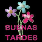buenas tardes
